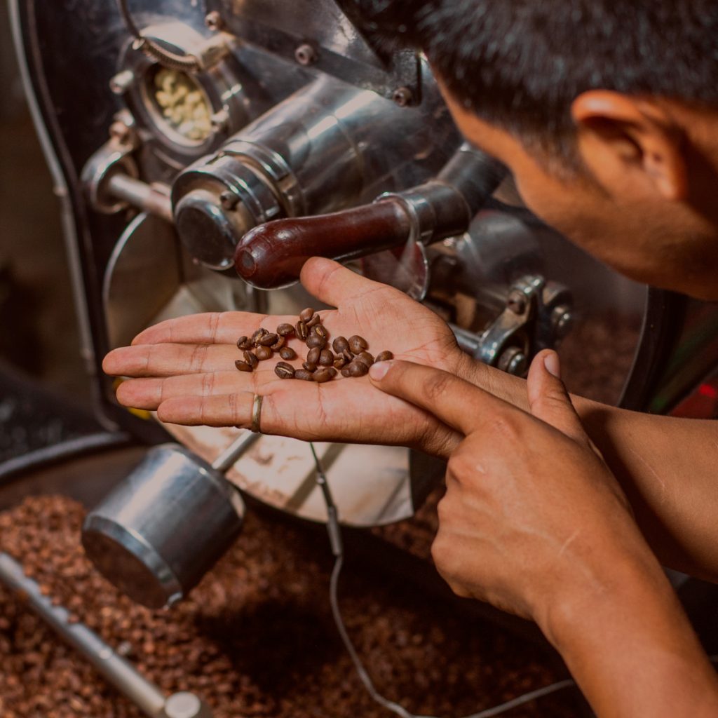 imagen nuestra especialidad inicio c